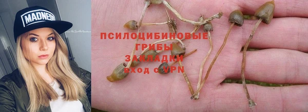 гидропоника Армянск